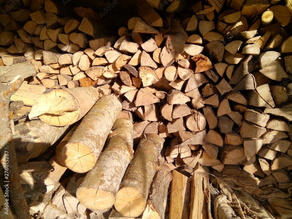 photo a lot of wood lying in the wood