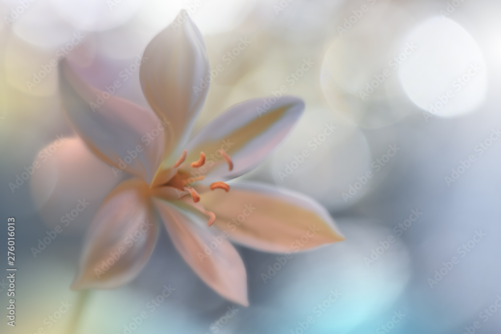 Closeup Macro Photography.Floral abstract pastel background with copy space.White flower in soft style for wedding card.Blue Nature Background.Blurred space for your text.Wedding Invitation.Pure.