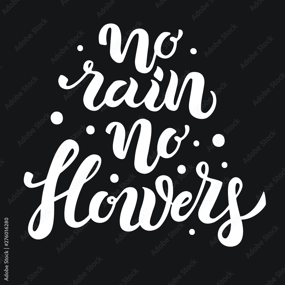 Vector hand drawn white lettering quote isolated on black background. No rain no flowers hand written print text