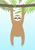 Vector flat cartoon sloth hanging on palm tree branch isolated on blue sky background