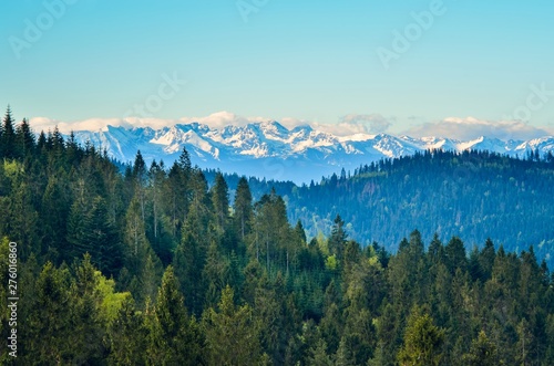 Beautiful spring mountain landscape. Snow capped mountains above green hills.