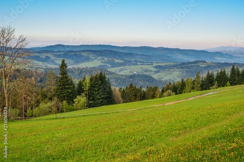 Beautiful spring mountain landscape. Green meadows and valleys between the hills. © shadowmoon30