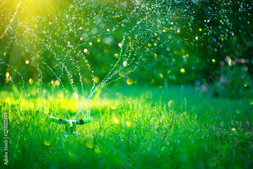 Garden, Grass Watering. Smart garden activated with full automatic sprinkler irrigation system working in a green park, watering lawn, flowers and trees. sprinkler head watering. Gardening concept  photo