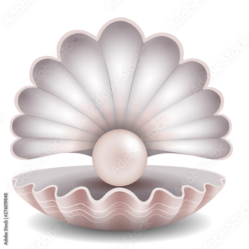 pink pearl in the shell illustration