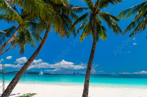 Fototapeta Naklejka Na Ścianę i Meble -  Palm trees on a beautiful, quiet tropical sandy beach on a tropical island (White Beach, Boracay)