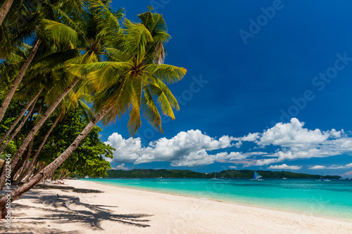 Palm trees on a beautiful  quiet tropical sandy beach on a tropical island  White Beach  Boracay 