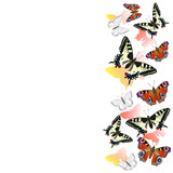 Border of realistic swallowtail butterflies and peacock eyes. Design element. Vector frame isolated on white background.