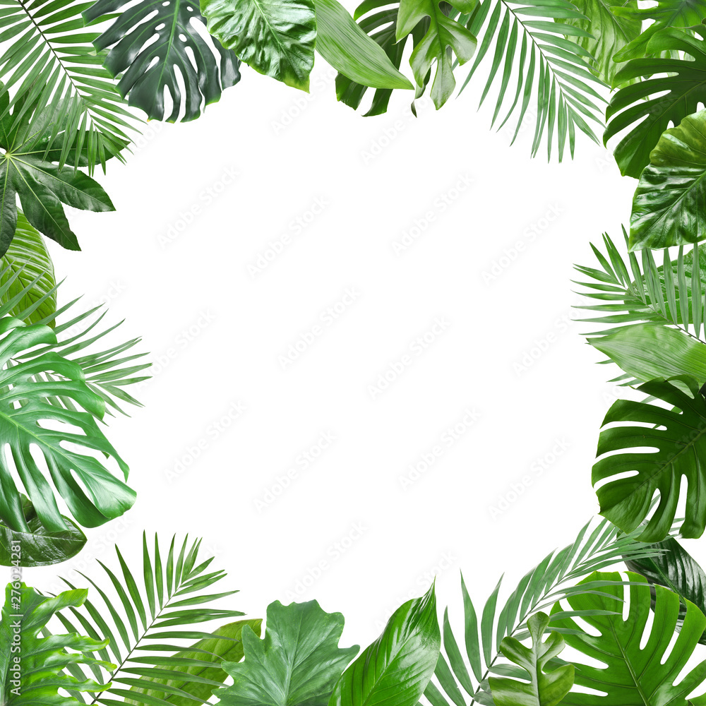 Frame made of fresh green tropical leaves on white background. Space for design Frame made of fresh green tropical leaves on white background. Space for design