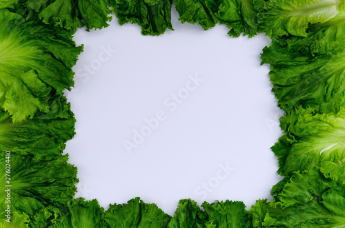Leaf salad patern with copy space © Anton