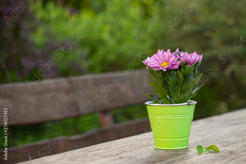 Close up of gardening flower in the pot and on the aged wooden table. Village concept. Summer Still life outdoor. Textured background. Composition. Copy space...