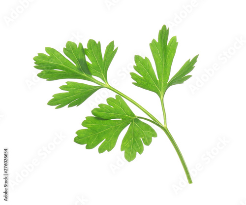 Leaves of fresh tasty parsley on white background, top view