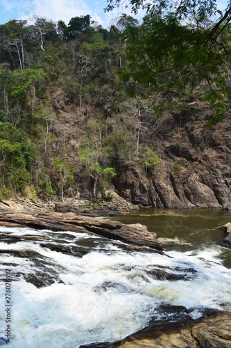 mountain river in the forest