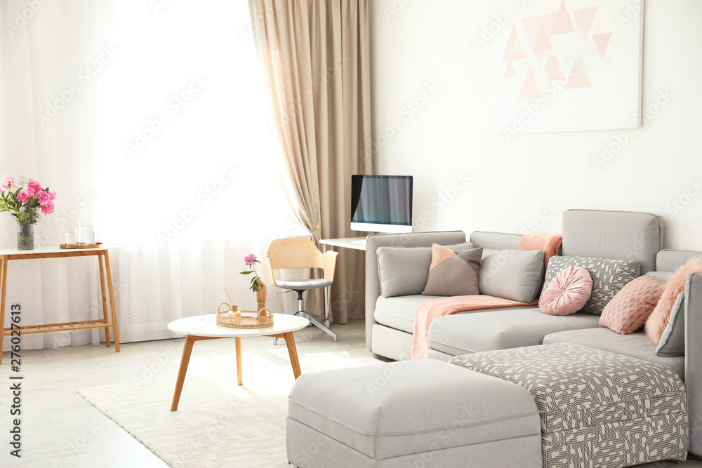 Modern living room interior with comfortable sofa Modern living room interior with comfortable sofa