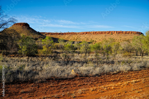 Road into Alice Springs