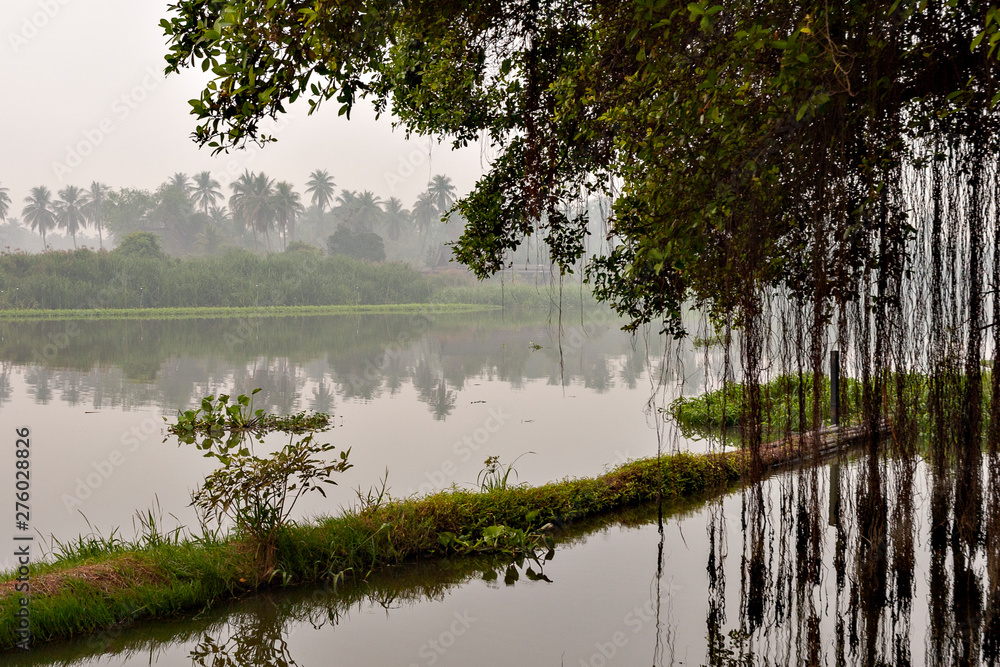 Misty morning at the river side in Thailand