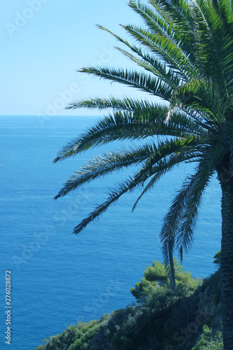 beautiful blue water of the mediterranean sea against the backdrop of palm trees, top view