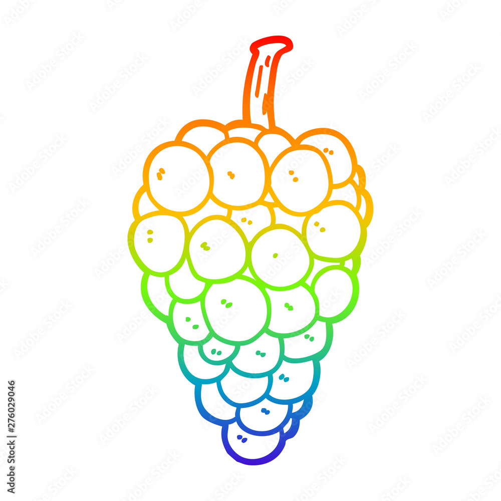 Drawing Of Family png download - 594*599 - Free Transparent Common Grape  Vine png Download. - CleanPNG / KissPNG
