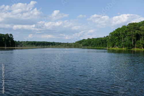 Lakeview landscape