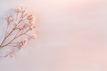 Sprigs with small white flowers on a wooden coral background with space for text - beautiful floral background