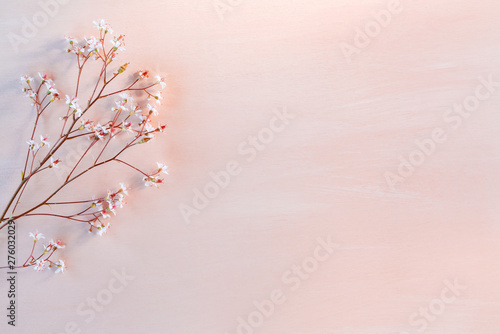 Sprigs with small white flowers on a wooden coral background with space for text - beautiful floral background photo