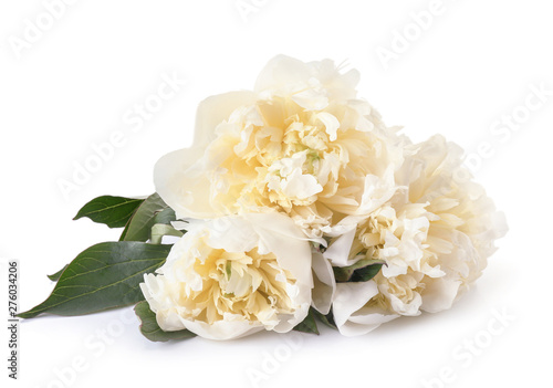 Beautiful fresh peony flowers on white background © Pixel-Shot