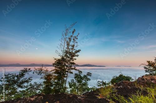Pha-chom-mok, Landscape sea of mist on the mountain in Nongkhai province Thailand.