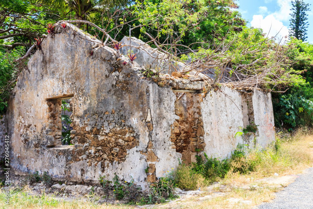 Ruins of house on Iles Des Pines