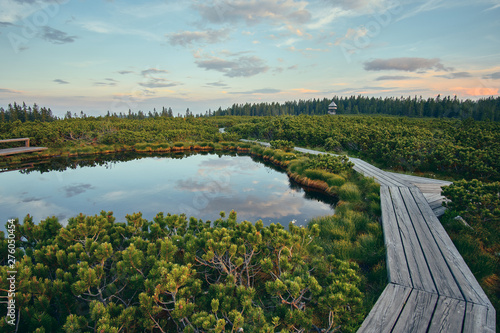 Fototapeta Naklejka Na Ścianę i Meble -  wooden path at Lovrenska lakes with the tower in the background - Slovenia