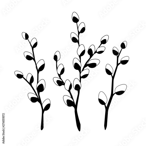 Willow twigs in black isolated on white