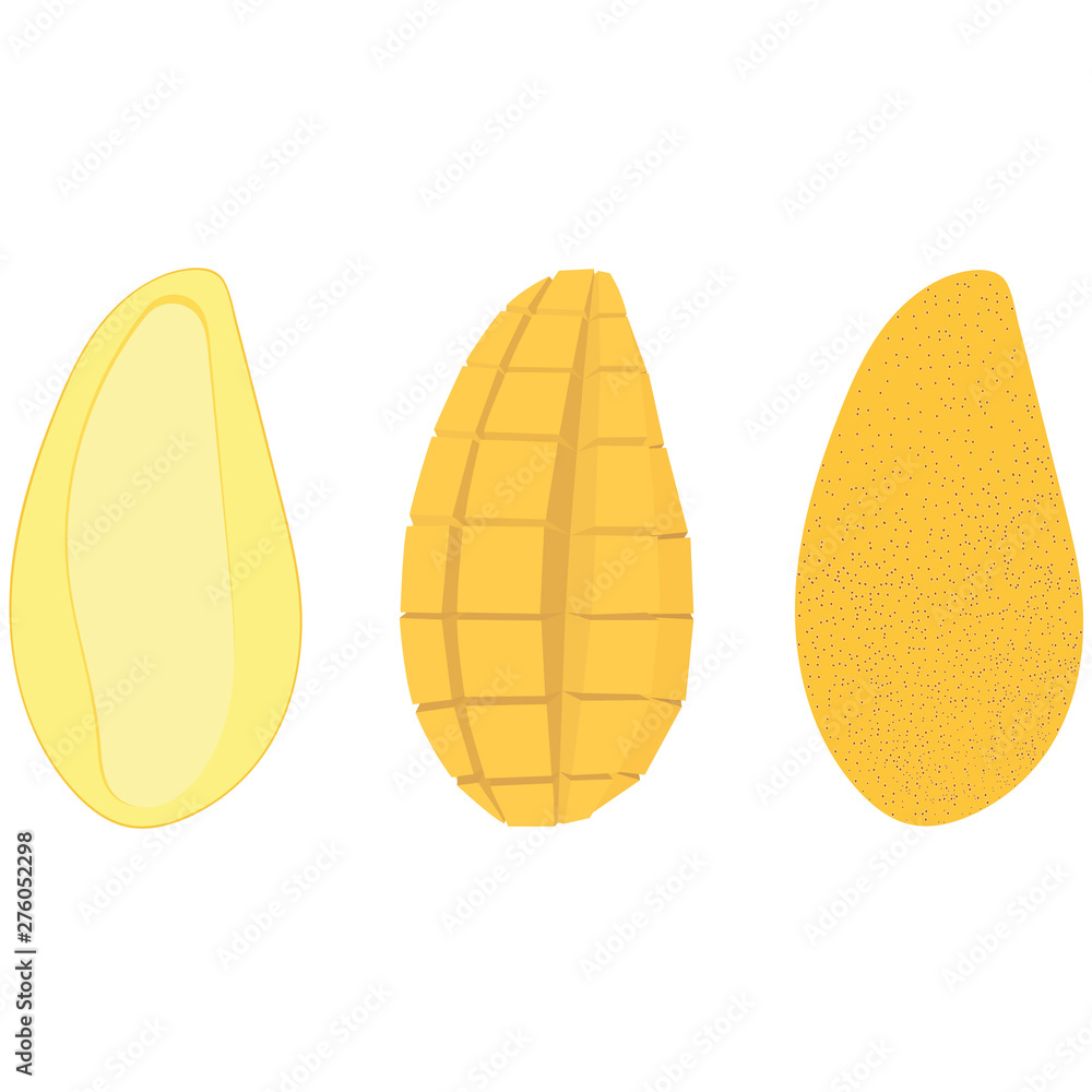 Set of mango in three types – half with a bone, cut, in a peel. Vector illustration.