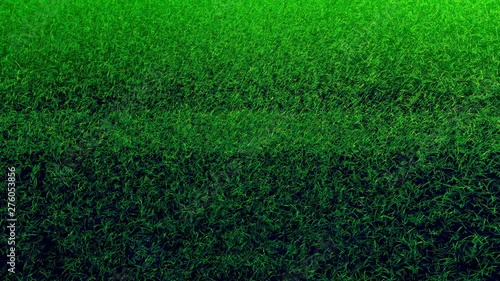 Wallpaper Mural Flying On Grass In Green Stadium is motion footage for sports films and cinematic in environment scene. Also good background for scene and titles, logos. Torontodigital.ca