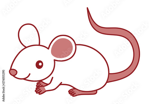                        mouse                          