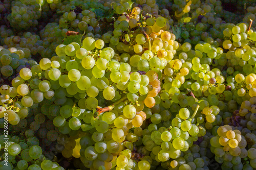 Raisin chenin