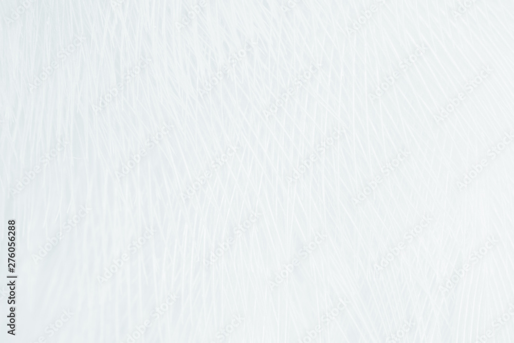 Beautiful white feather pattern texture background