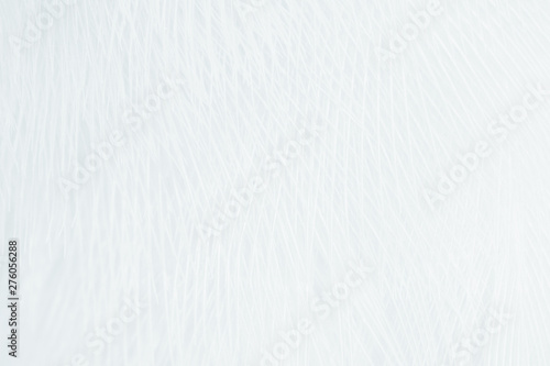 Beautiful white feather pattern texture background