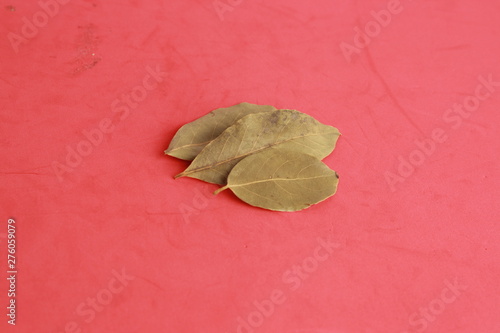bay leaves in colorful background
