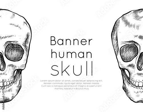 Horizontal banner with drawing of human skull with hatching and place for text. Front view. Contour art. Black and white engraving template for articles, postcards and your design.
