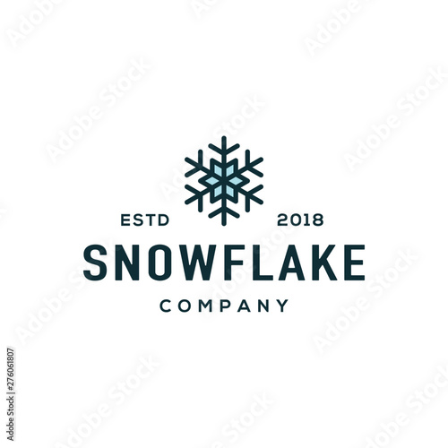 Snow logo design vector.