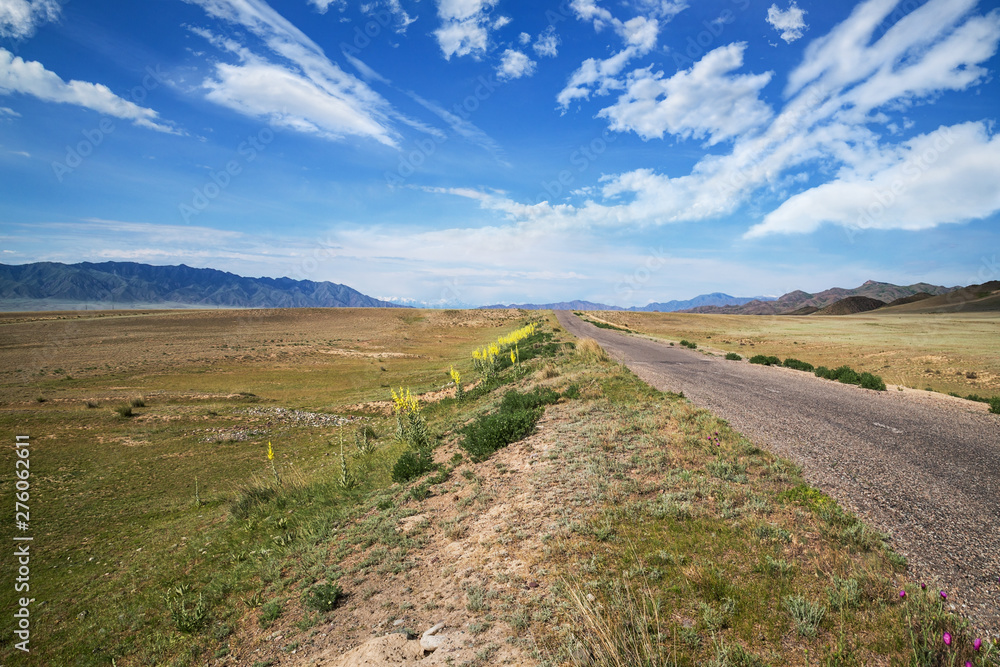 High speed road in Kazakhstan steppe