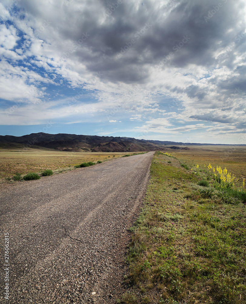 Road in Kazakhstan steppe