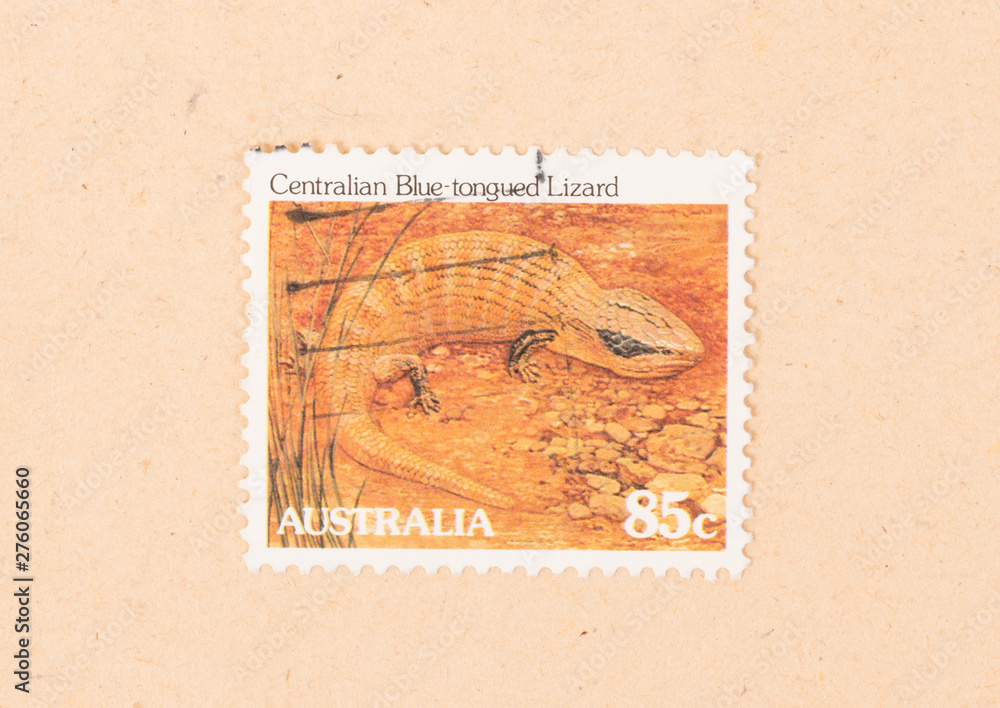 AUSTRALIA - CIRCA 1980: A stamp printed in Australia shows a centralian blue-tongued lizard, circa 1980