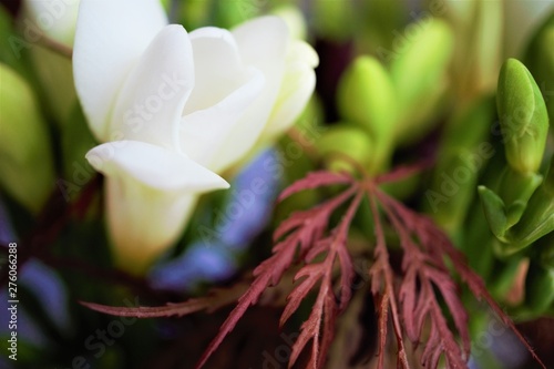 Flower Macro