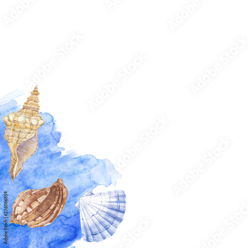 Sea background with shells and place for text. Watercolor. Corner composition. Excellent use for invitations  greeting cards  or can be part of your design.