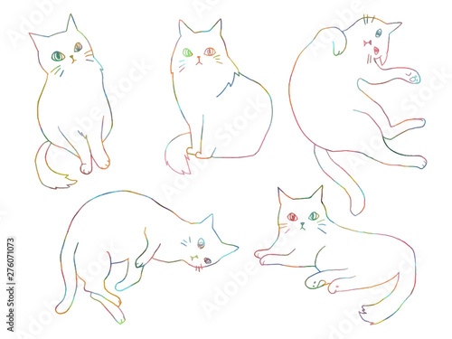 rainbowcat