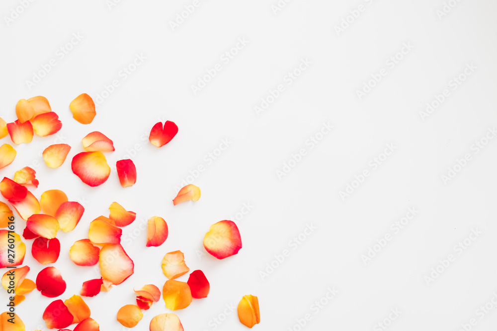 Romantic theme background. Flat lay of red and orange rose petals scattered over white surface. Copy space. Romantic theme background. Flat lay of red and orange rose petals scattered over white surface. Copy space.
