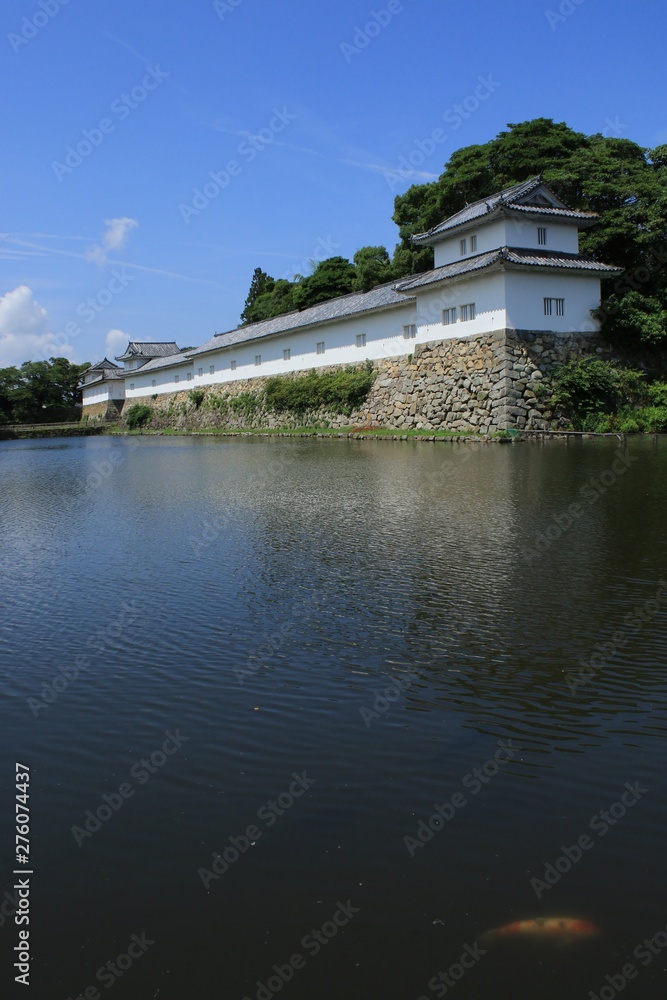 滋賀県彦根市の佐和口多聞櫓とお堀を泳ぐ錦鯉