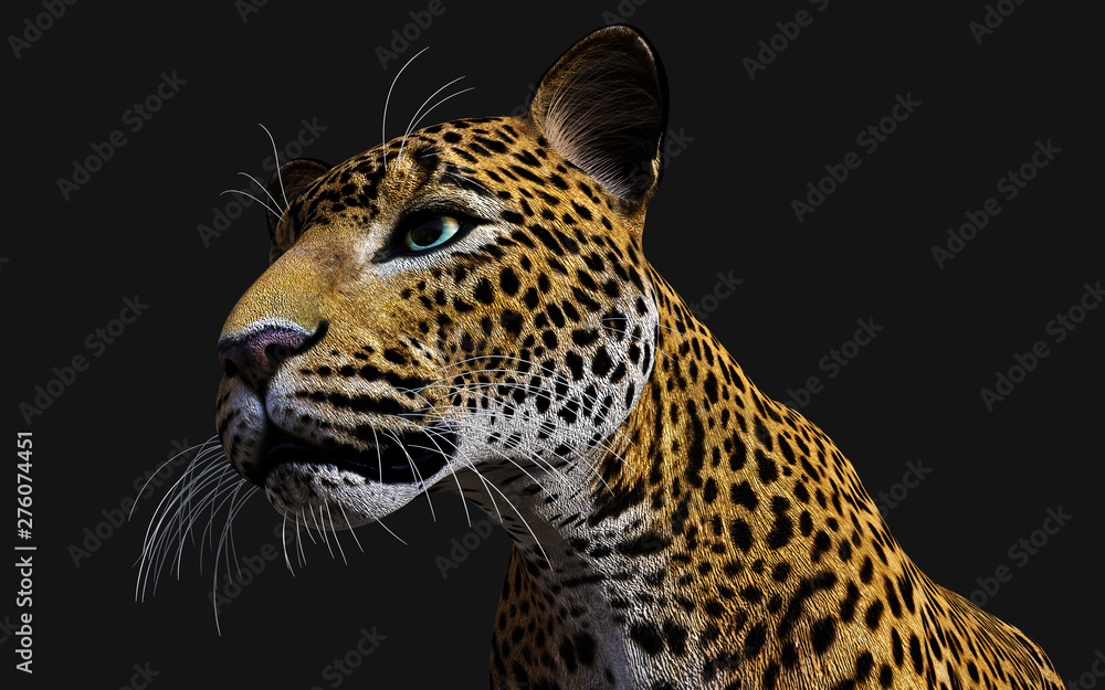 3d Illustration Leopard Isolate on Black Background with Clipping Path, Panthera Pardus 3d Illustration Leopard Isolate on Black Background with Clipping Path, Panthera Pardus