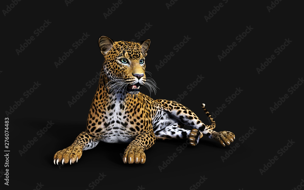 Obraz premium 3d Illustration Leopard Isolate on Black Background with Clipping Path, Panthera Pardus