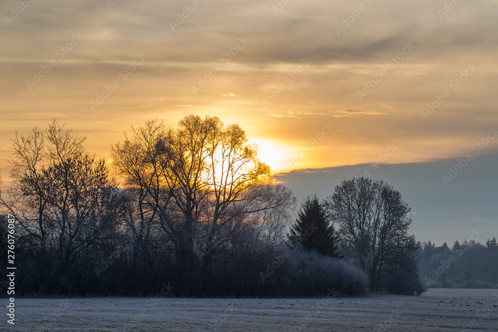The sun rises on a cloudy sky behind bushes and trees behind a meadow in winter The sun rises on a cloudy sky behind bushes and trees behind a meadow in winter