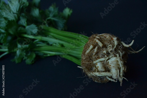 young root celery on the dark background